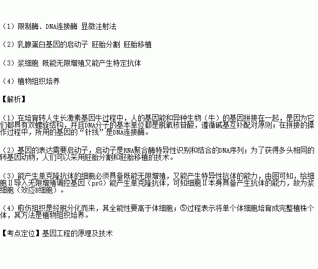 應用生物工程技術獲取新產品的研究